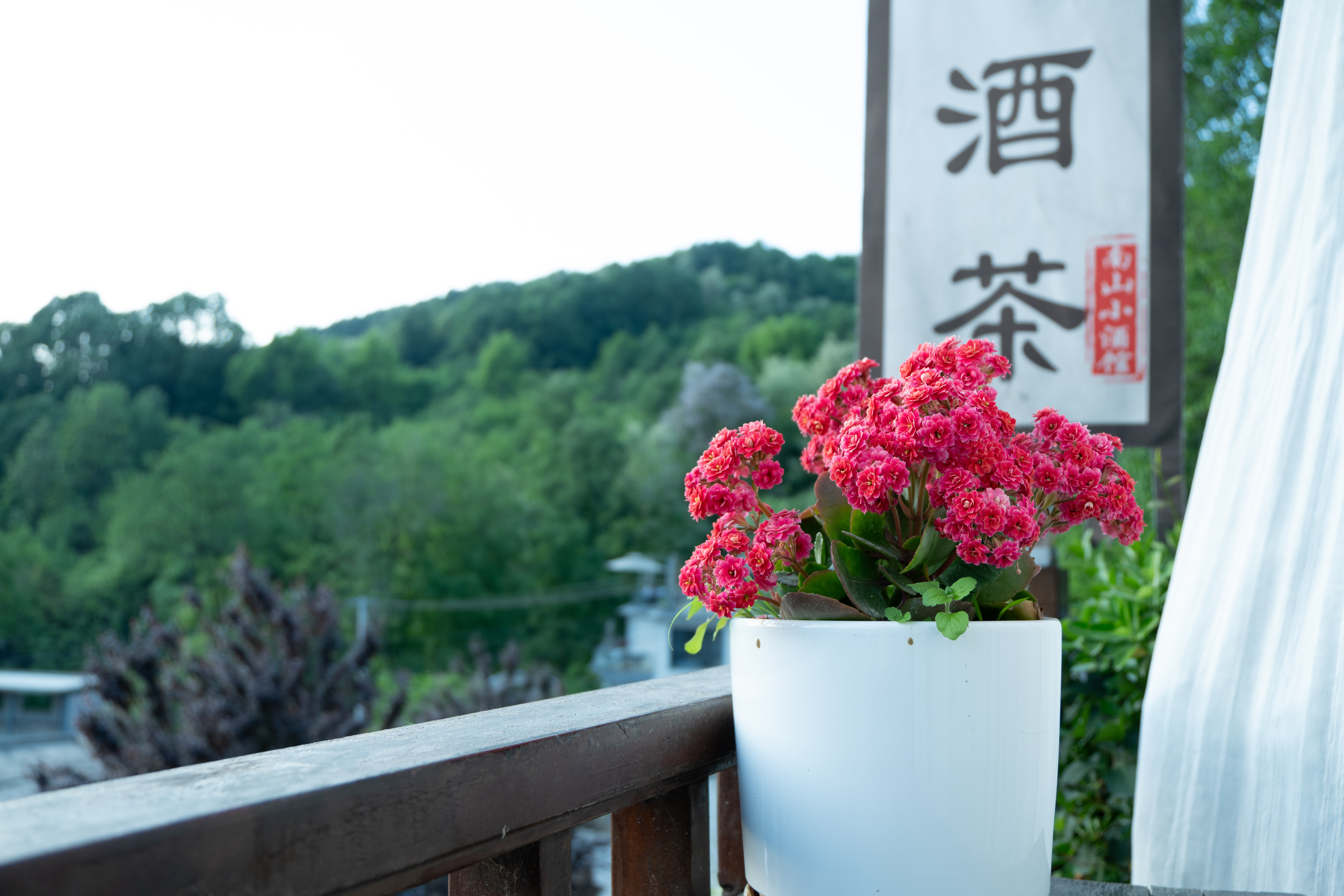 摄影师